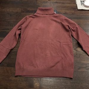 Solid Turtleneck Sweater